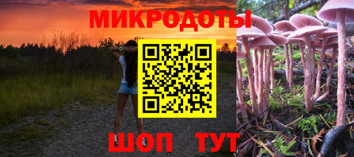 Галлюциногенные грибы Cubensis Верхняя Салда