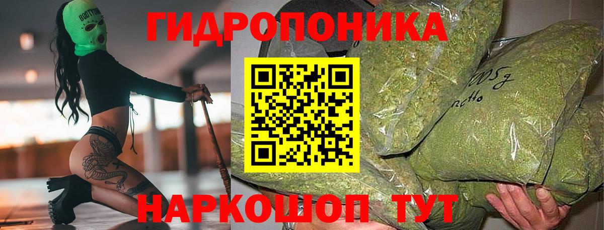 Шишки марихуана White Widow Верхняя Салда